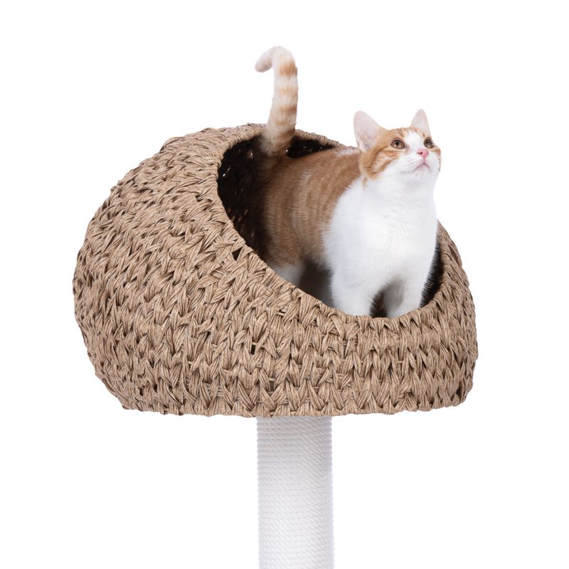 Modern Living Outdoor Byron Bay Scratching Post - Small 55 x 46 x 95 cm (L x W x H)
