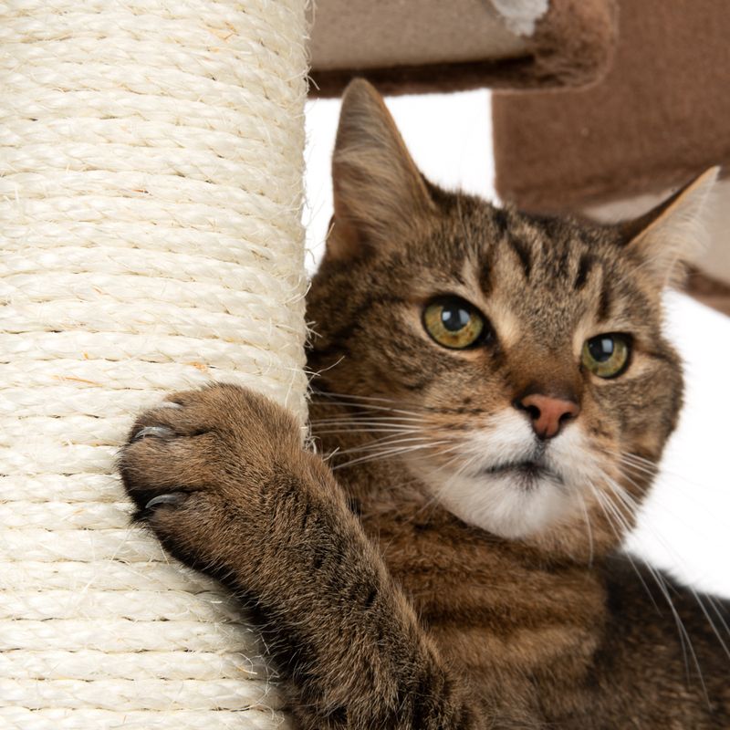 Gingerbread House Cat Tree with Ladder Beige