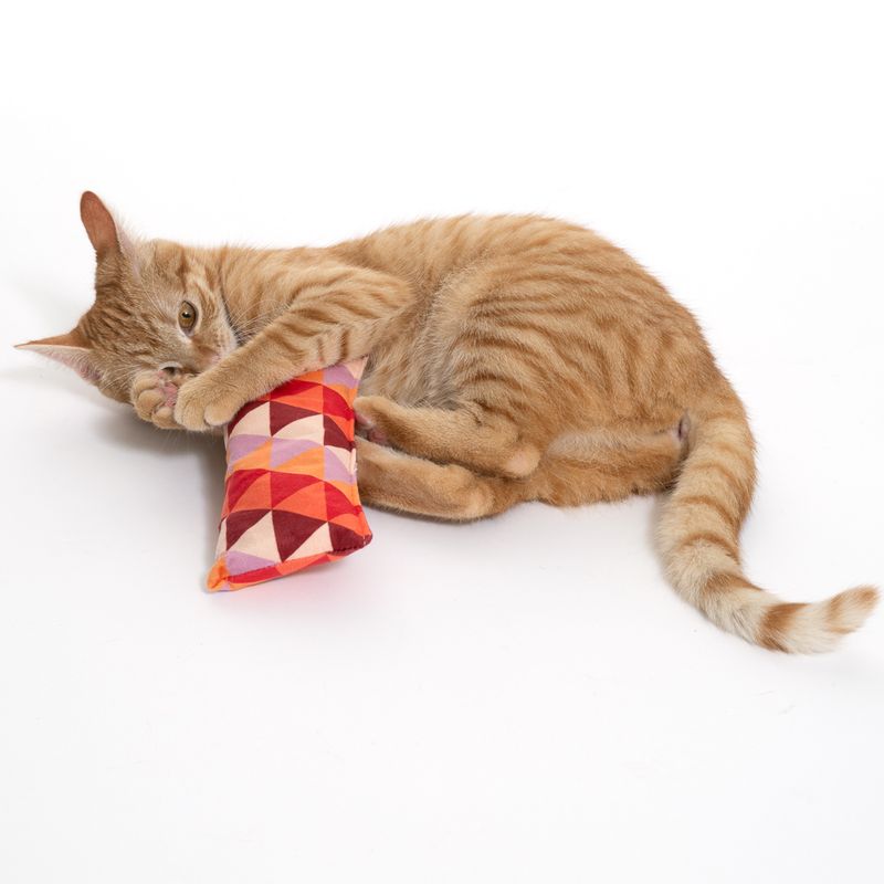 TIAKI Kicker Cushion with Catnip 1 Toy
