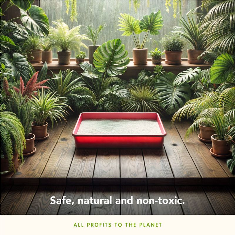 Almo Nature Cat Litter 2.27kg