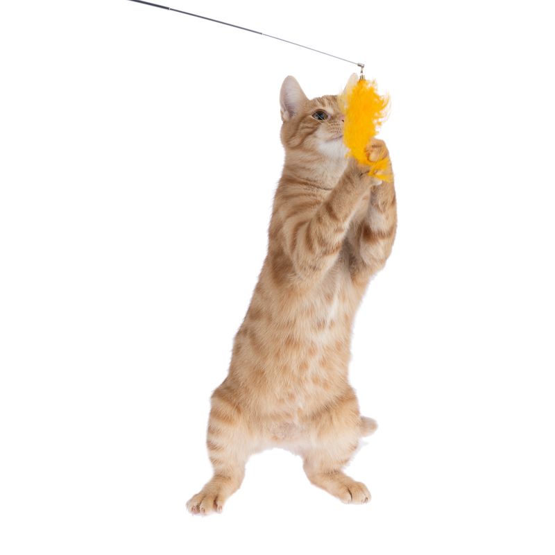 TIAKI Pompom Cat Dangler Toy with LED Pointer 1 Toy