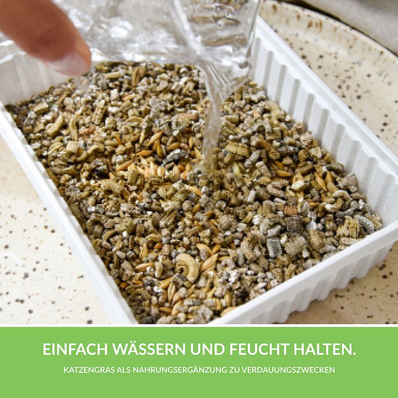 GimCat Hydro-Grass 150g