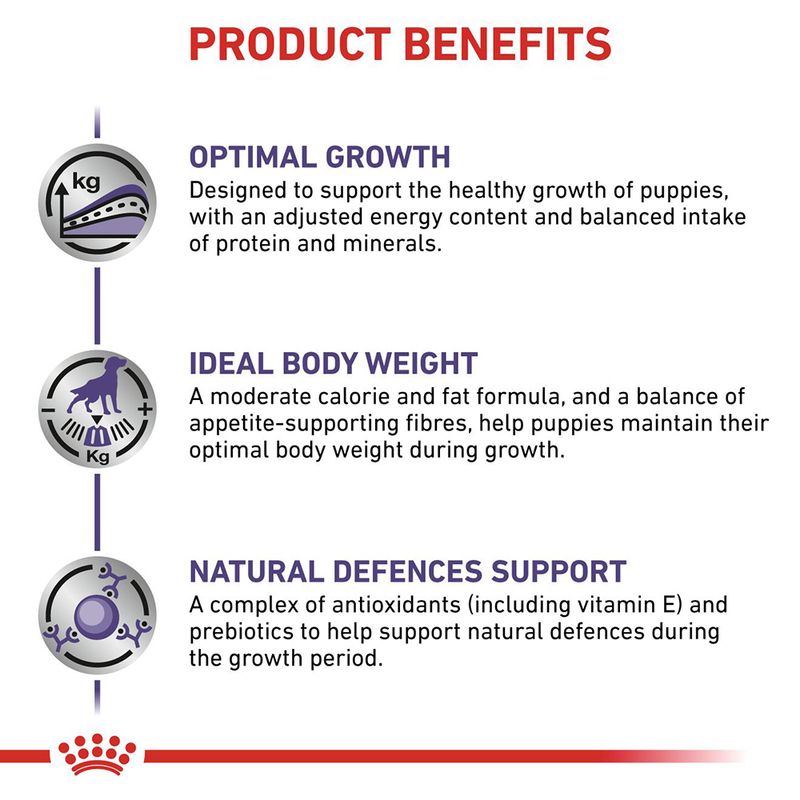 Royal Canin Expert - Neutered Junior Medium Dog 10kg