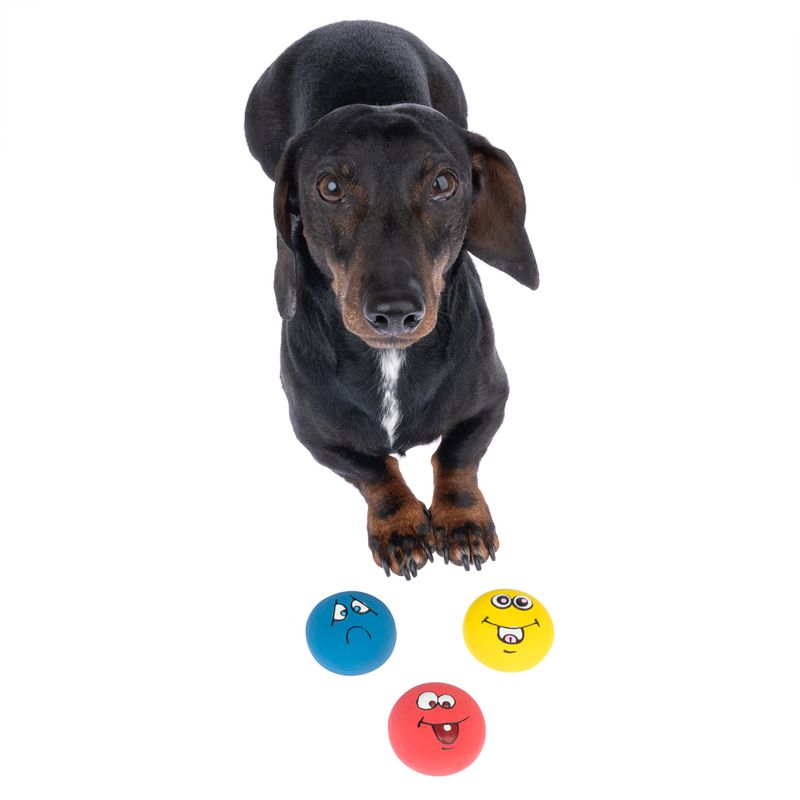 zooplus Basics Emoji Latex Balls Set of 3 (each diameter 5cm)