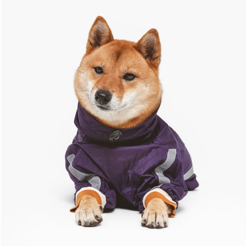 Nomad Tales Spirit Dog Overalls - Berry approx. 35cm Back Length