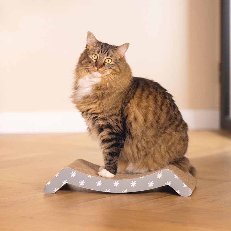 Beeztees Star Scratching Board 44.5 x 21 x 8cm (L x W x H)