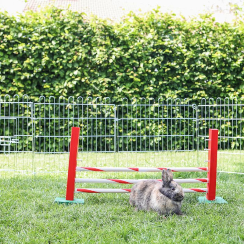 Kerbl Pet Agility Steep Jump for Rodents 70 x 5 x 35cm (L x W x H)