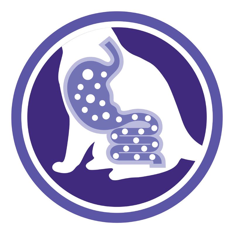 PURINA ONE Sensitive Salmon 1,5 kg