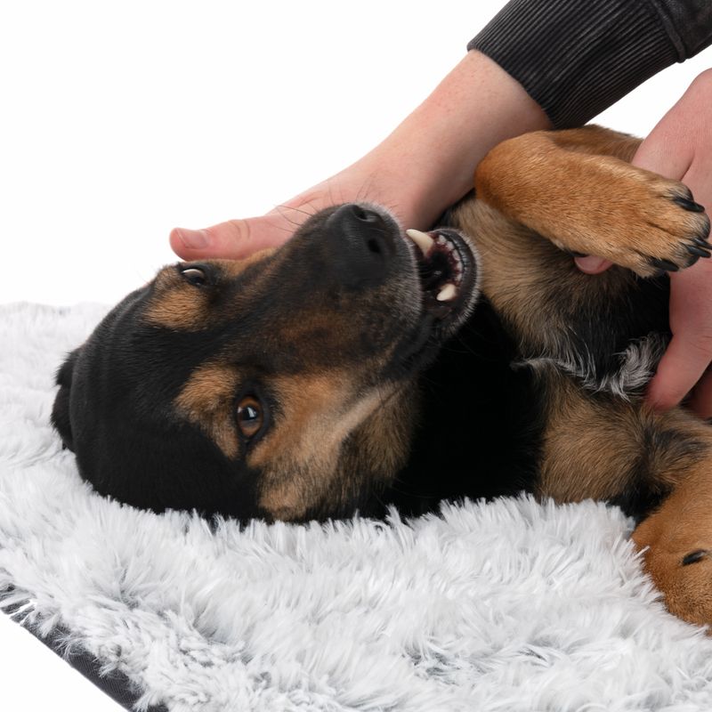 TIAKI Dog Blanket Cloud L 100 x W 72 cm