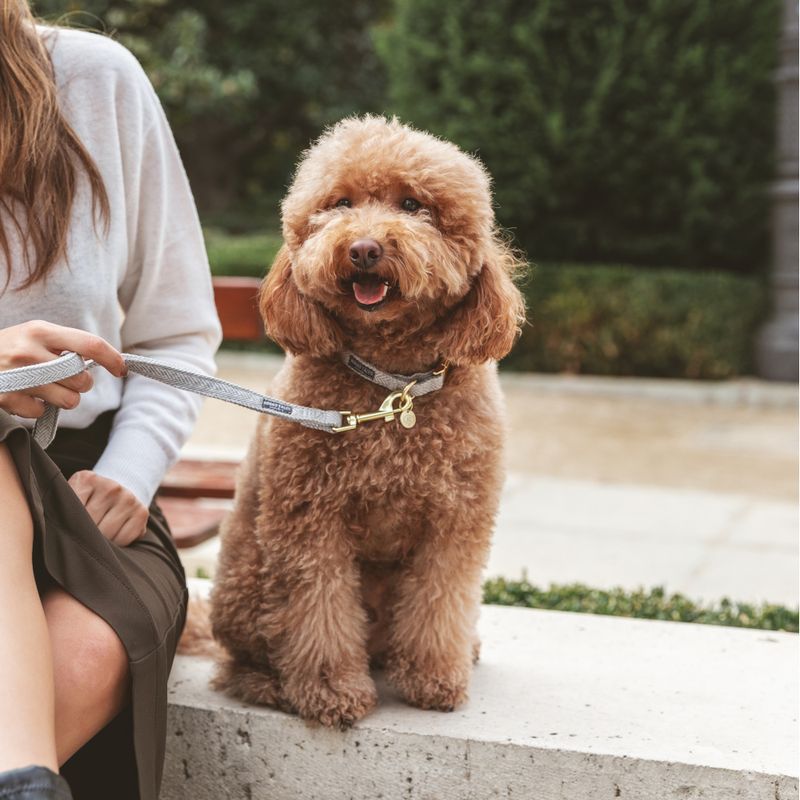 Nomad Tales Calma Collar, stone Size L: 39 - 64 cm neck circumference