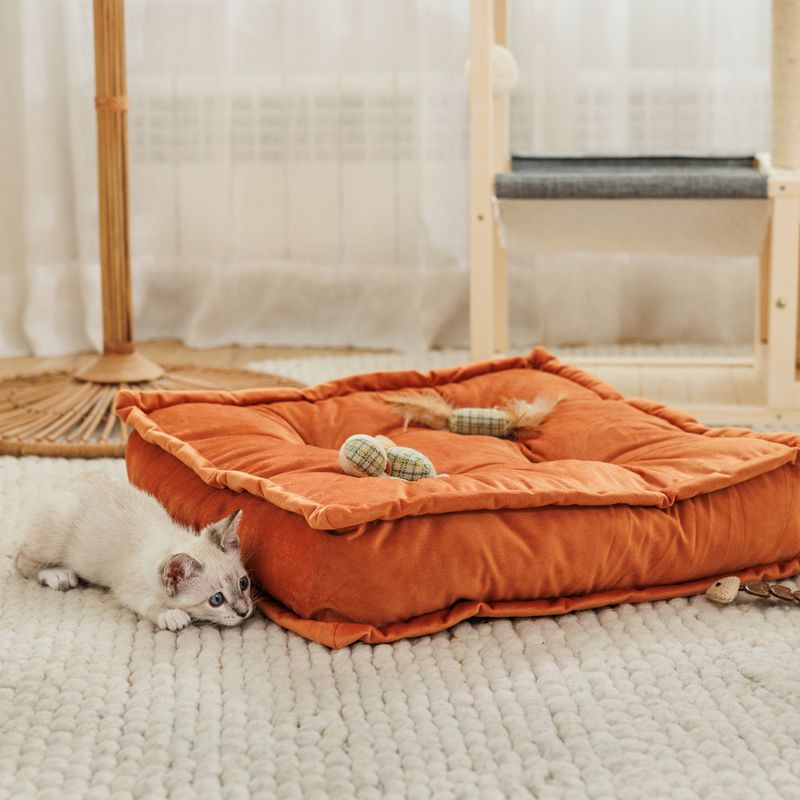 Modern Living Marrakech Cushion 50 x 50 x 10 cm (L x W x H)