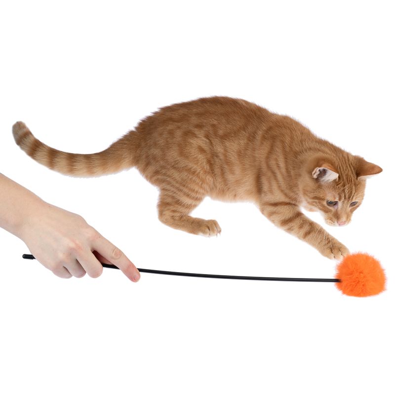 zooplus Basics feather duster pompom 1 Toy