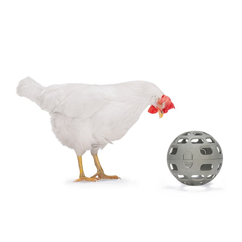 beeztees Snack Ball for Chickens 1 Ball