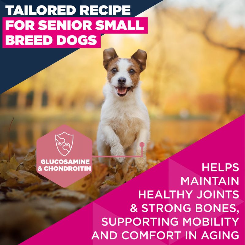 Eukanuba Premium Nutrition Senior Small Breed Chicken 3kg