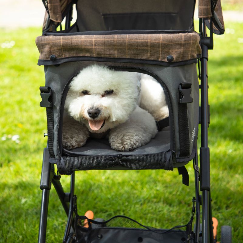 HAFENBANDE Pet Buggy Sailor light brown / taupe