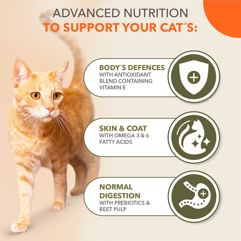 IAMS Advanced Nutrition Grain-Free with Ocean Fish 2.5kg