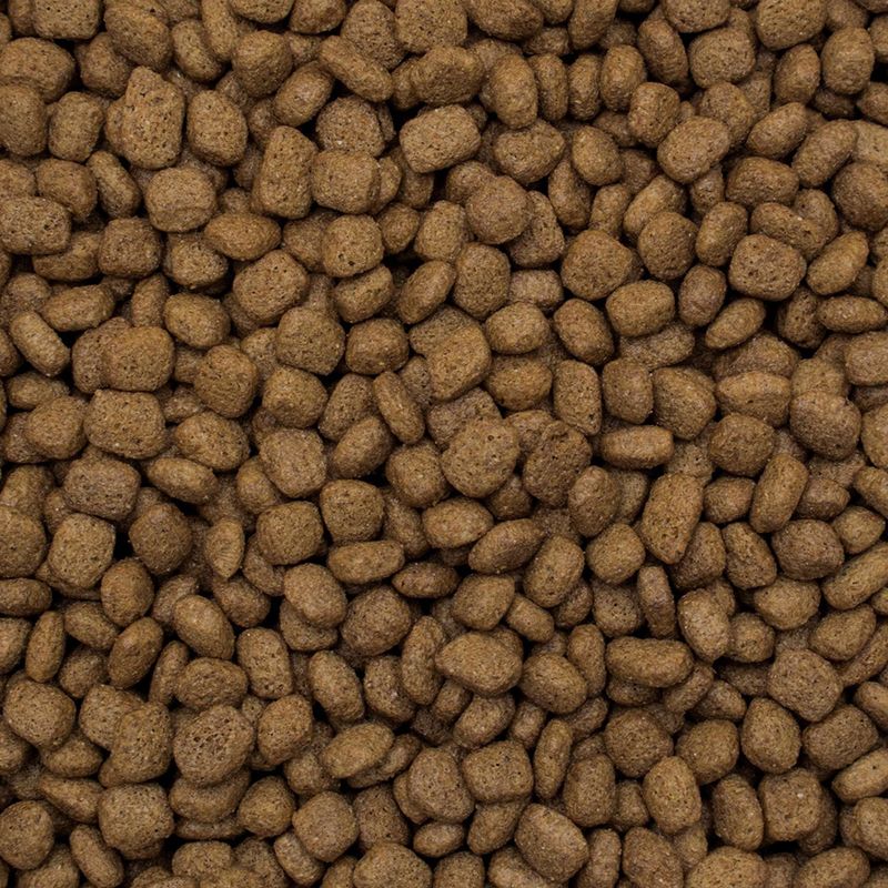 TropiDog Premium Adult Medium & Large Duck & Rice 12kg