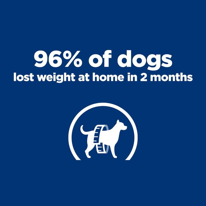 Hill's Prescription Diet Canine Metabolic - Beef 12 x 370g