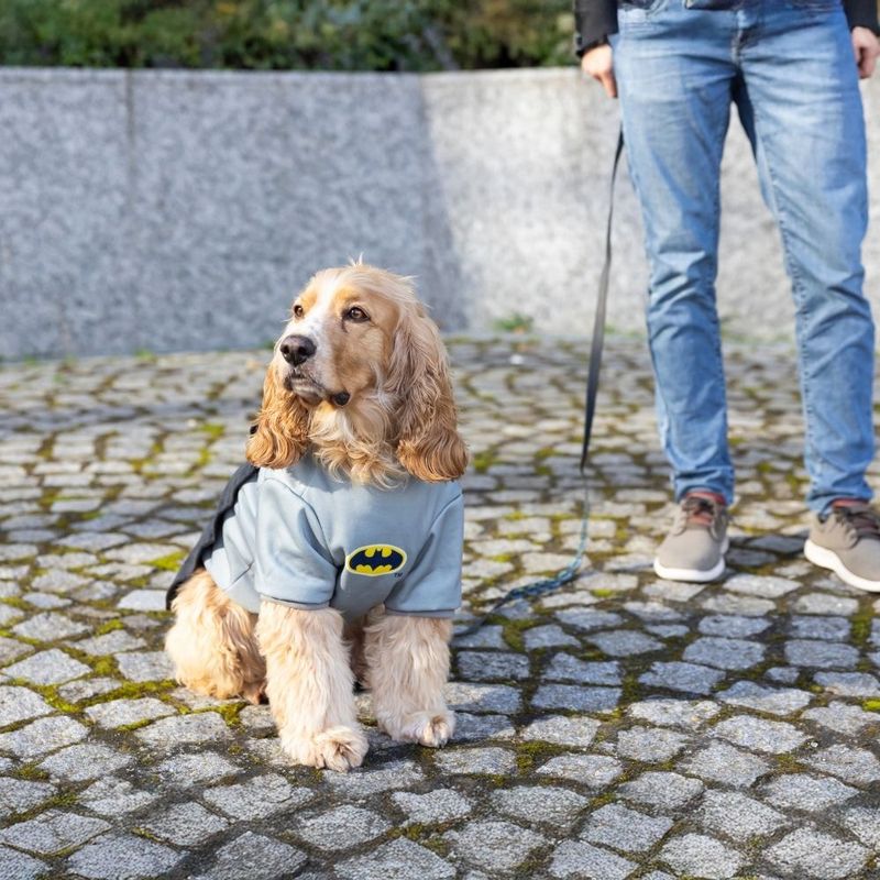 Warner Bros™ DC Batman Dog Costume Size S/M: 35cm Back Length
