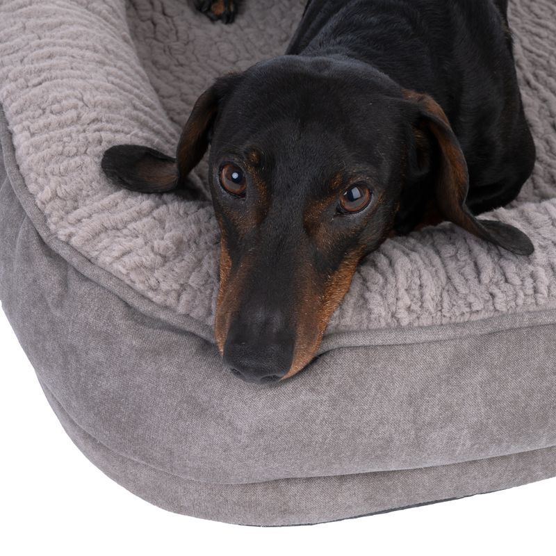 TIAKI Poolside Paws Fossil Dog Bed Size M: 65 x 50 x 13cm (L x W x H)