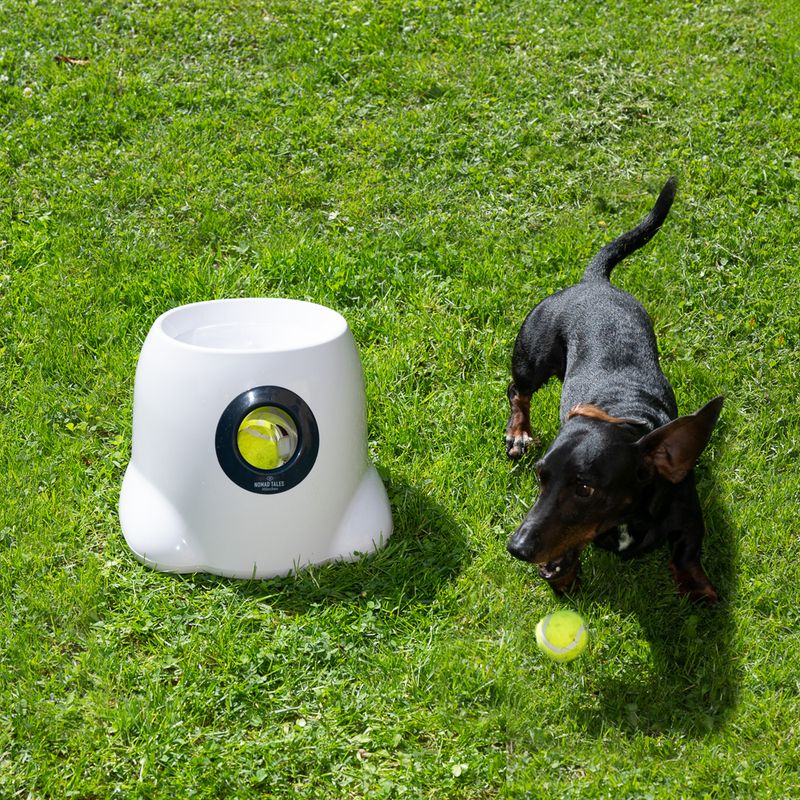 Nomad Tales Bloom Automatic Tennis Ball Launcher Mini: 26 x 27 x 21 cm (L x W x H)