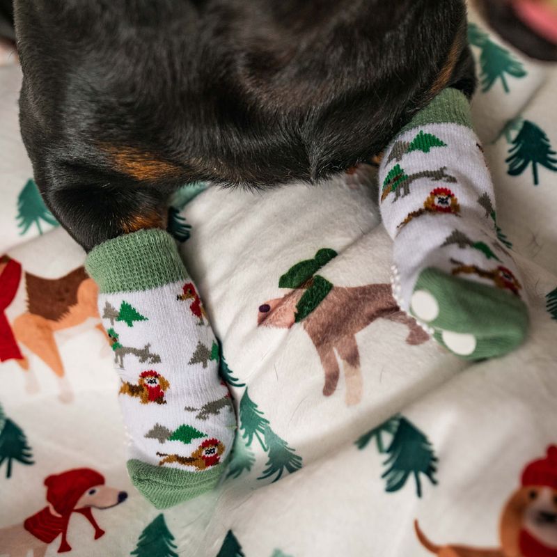 TIAKI Pet & Parent Winter Socks Set: Pet Socks (2 pairs) & Pawrent Socks (1 Pair)