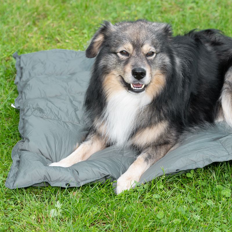 Nomad Tales Spirit Scallion Outdoor Dog Mat 137 x 80 cm (L x W)