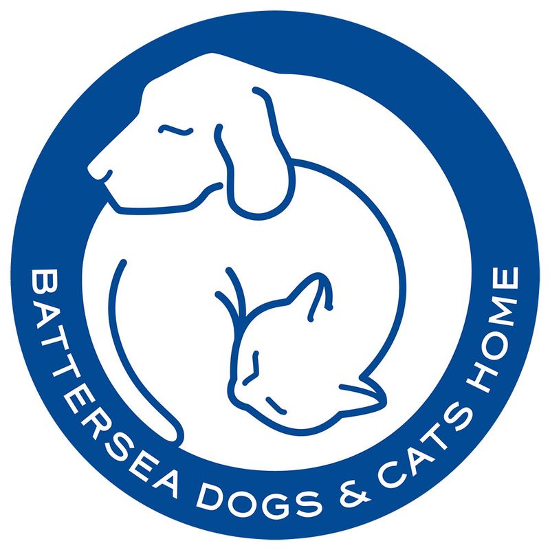 Pet Teezer De-shedding Brush Small approx. 12.5 x 5.5 x 5.5cm (LxWxH)