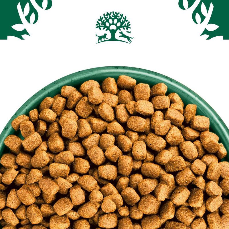 James Wellbeloved Adult Small Breed Hypoallergenic Turkey & Rice 1.5kg