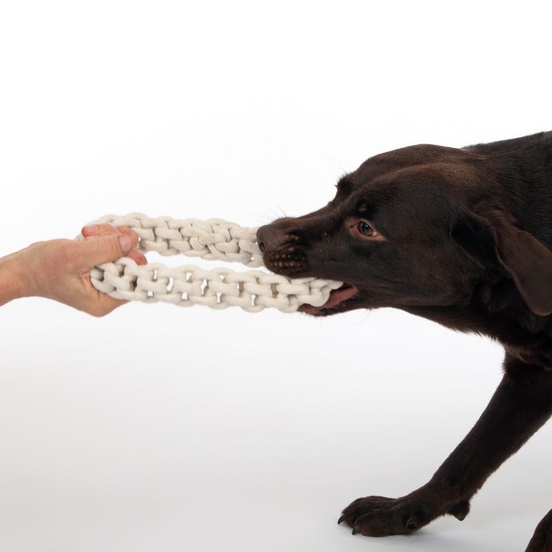 TIAKI Dog Toy Rope Ring Ø 18 x H 4,5 cm