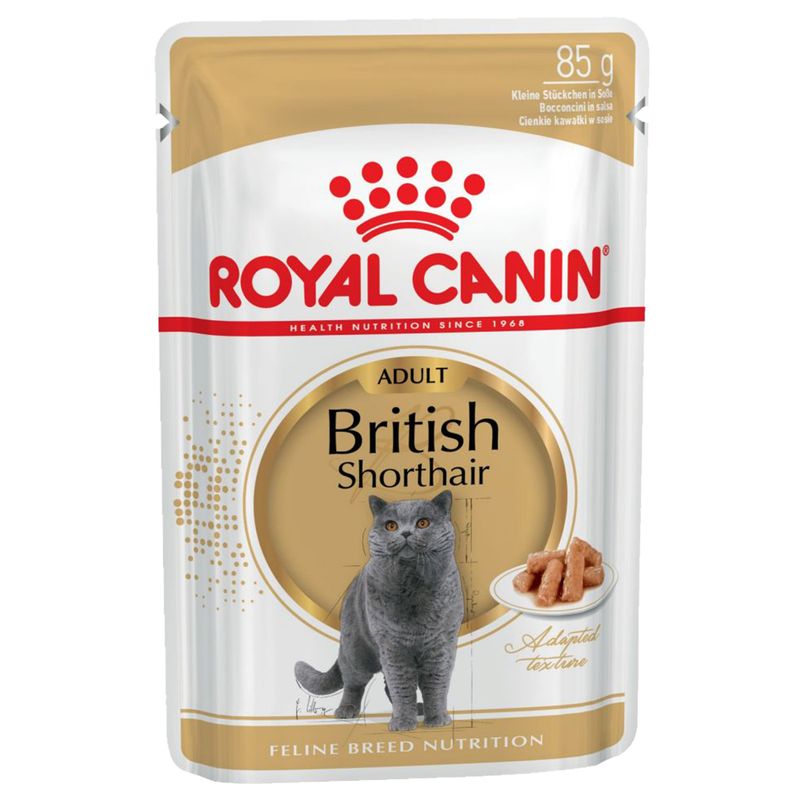 Royal Canin British Shorthair Adult in Gravy 12 x 85g