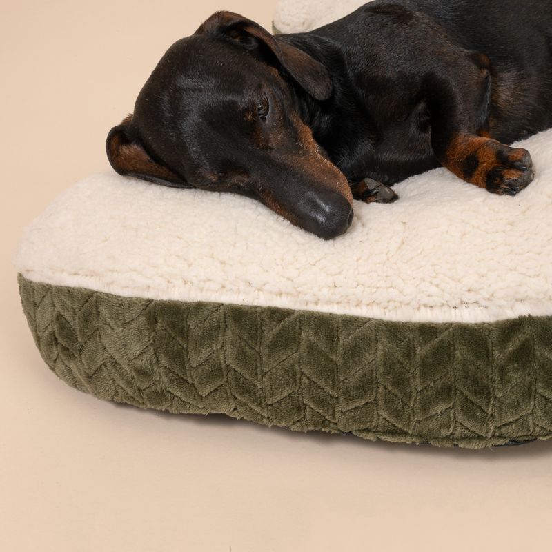 TIAKI Fir Tree Dog Bed approx. 70 x 70 x 18 cm (L x W x H)