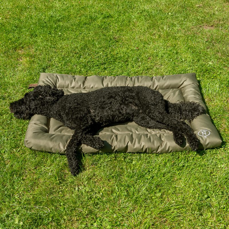 Nomad Tales Spirit Outdoor Dog Cushion Pine 74 x 46 x 7 cm (L x W x H)