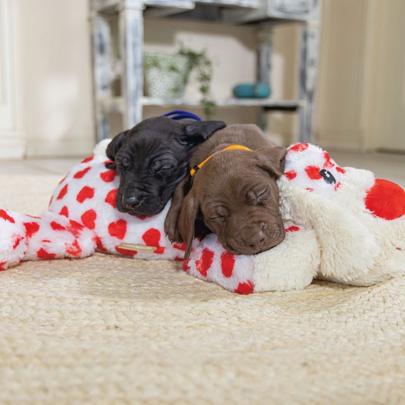 Beeztees Suki Cuddly Dog Toy Size XL