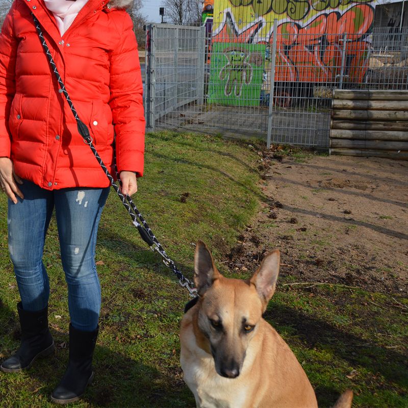 JULIUS-K9 IDC® Adjustable Rope Lead Black: 220cm Length, diameter 12mm