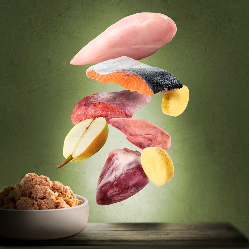 Purizon Adult Saver Pack 24 x 200g Chicken Fillet with Turkey & Salmon