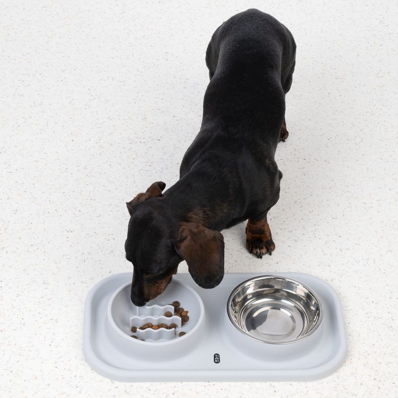 TIAKI Stainless Steel Double Bowl & Slow Feeder with Mat 2 x 300ml