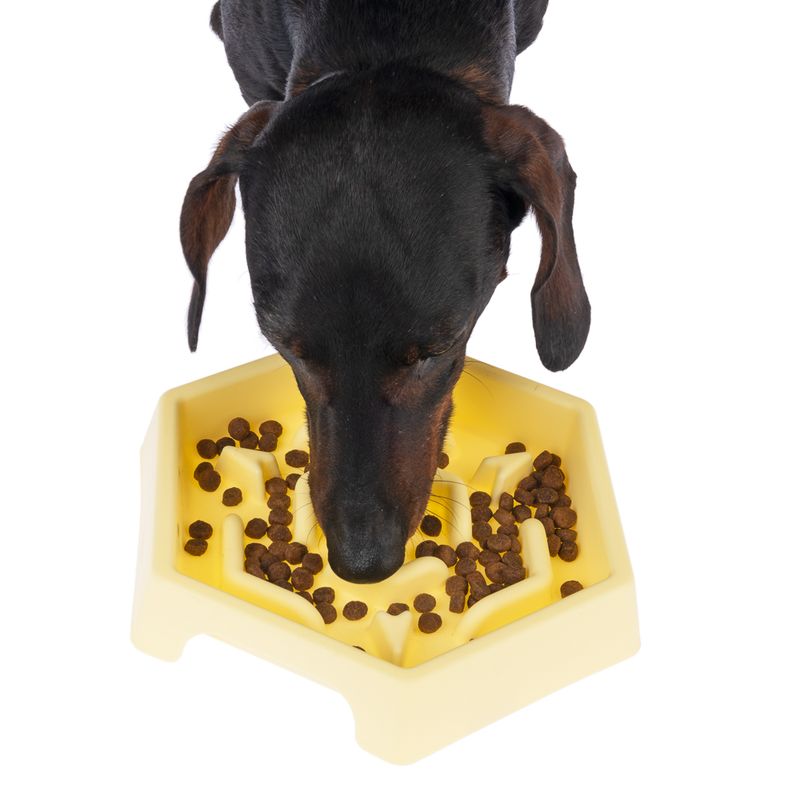 TIAKI Slow Feeder Yellow Hexagon 450 ml