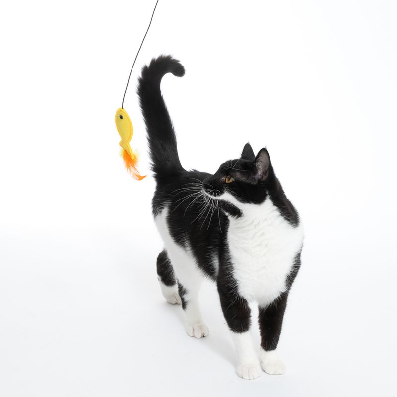 TIAKI Dangling Cat Toy with Door Mount 1 Toy