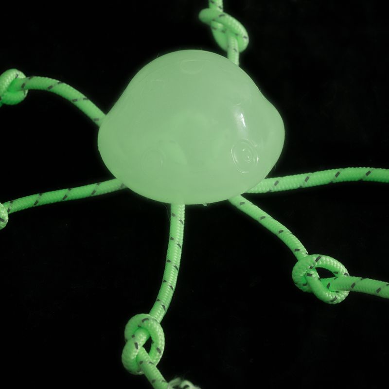 TIAKI Jellyfish Glow in the Dark Dog Toy 1 Toy