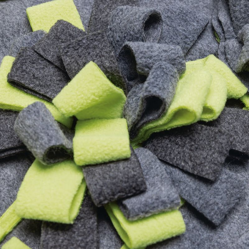 Beeztees Flora Sniff Mat 1 Toy