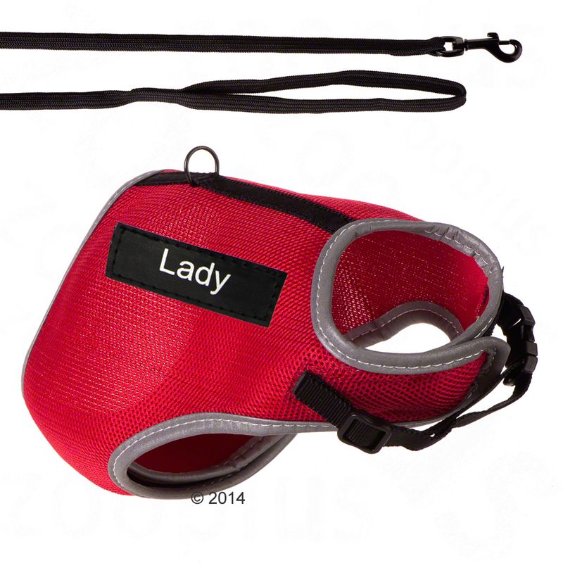 Trixie XCat Harness with Lead and Exclusive Stickers Black