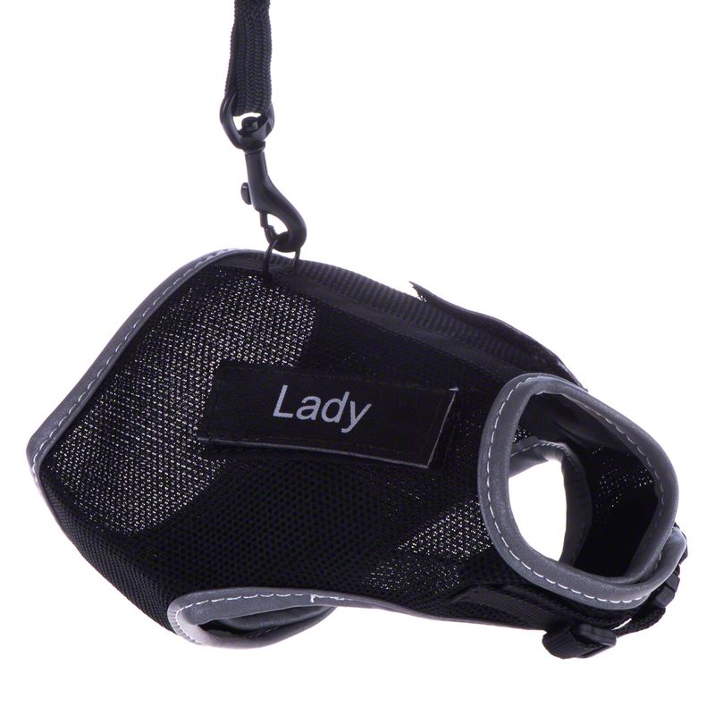 Trixie XCat Harness with Lead and Exclusive Stickers Black