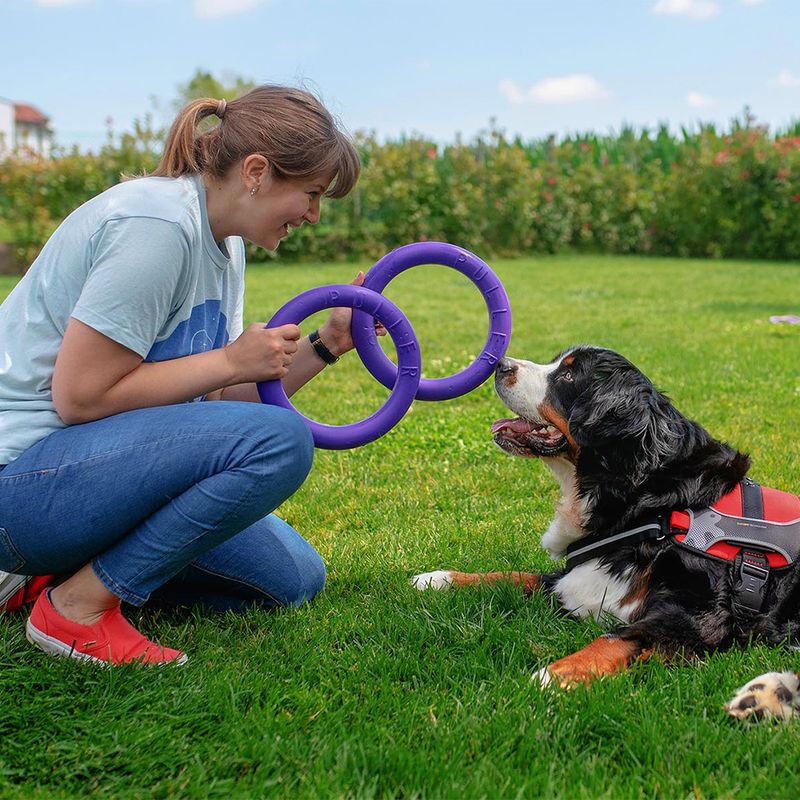 Ferplast Puller Dog Toy Midi: 19cm (Ø)