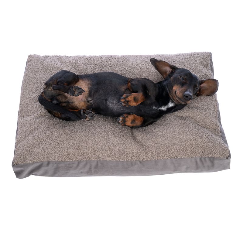 TIAKI Teddy Dog Mattress - Taupe Size M: 70 x 50 x 10 cm (L x W x H)