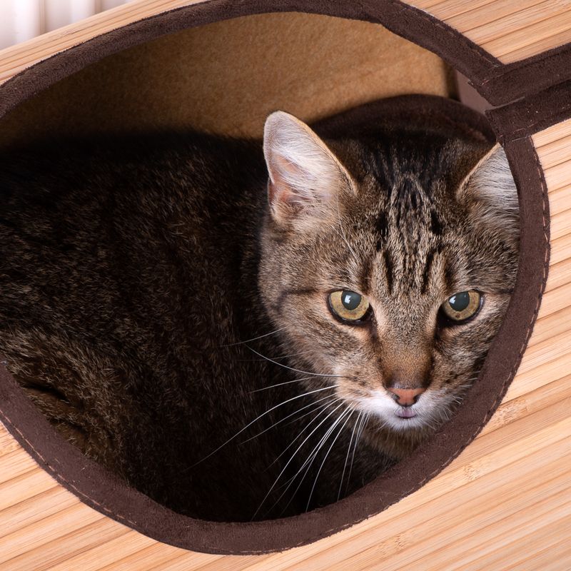 Natural Retreat Radiator Cat Bed Beige/brown