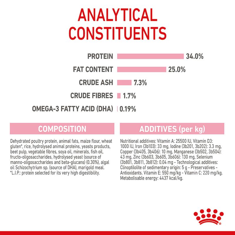 Royal Canin Mother & Babycat 400g