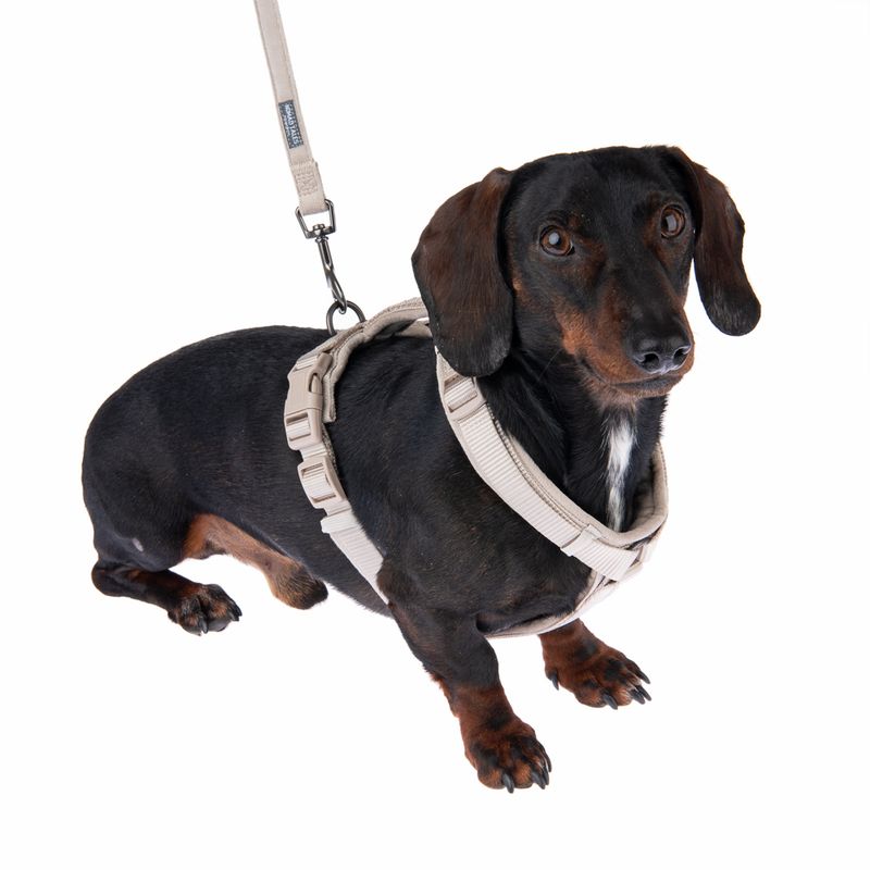 Nomad Tales Blush Harness - Taupe Size XS: 34-49cm Chest Measurement