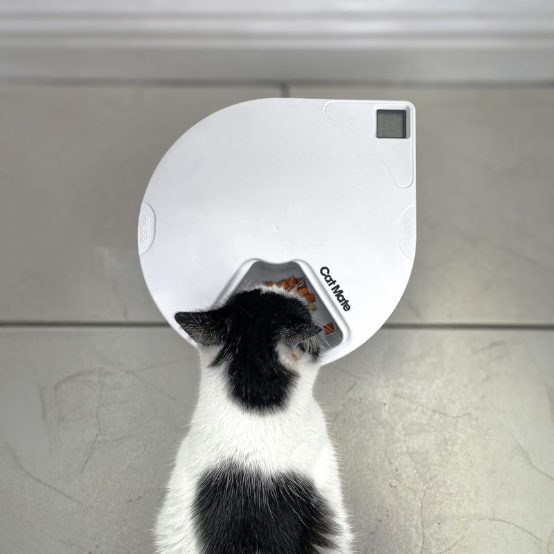 Cat Mate C500 Automatic Feeder 5-Meal Feeder