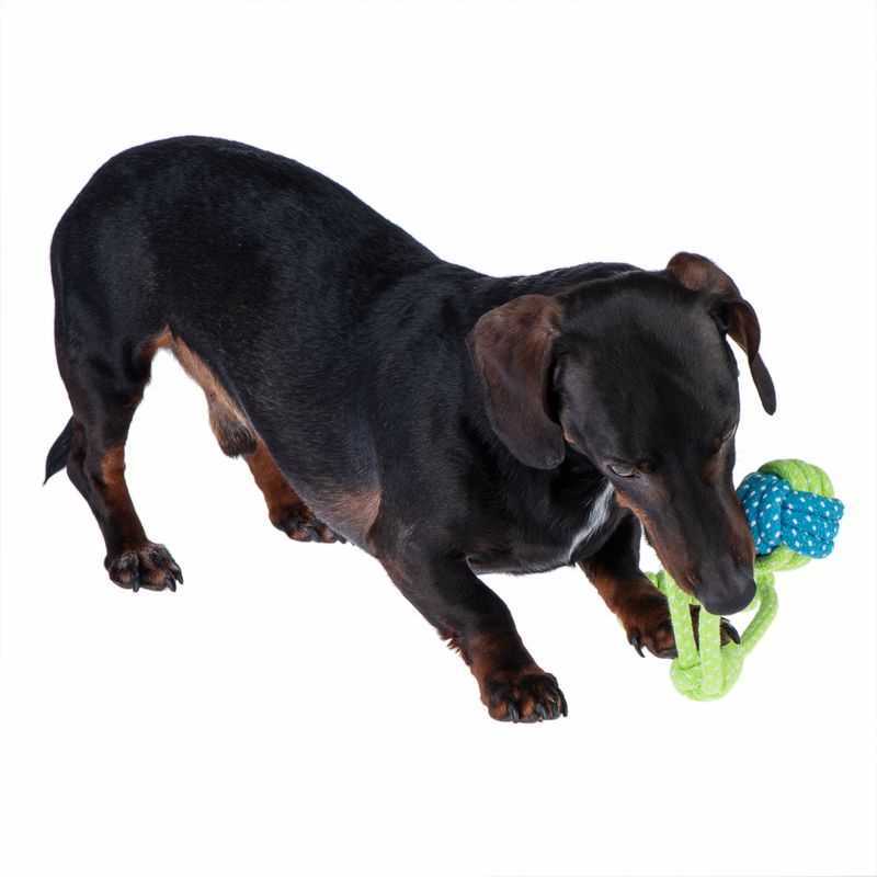 Dog toy Limoen rope & ball approx. diameter 6 x L 32 cm